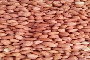 Peanuts from Nigeria